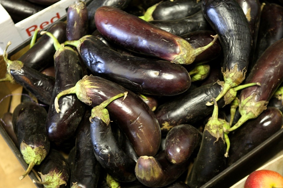    Агроном Шубина назвала новосибирцам лучшие сорта баклажана для рассады. Виктор ГУСЕЙНОВ