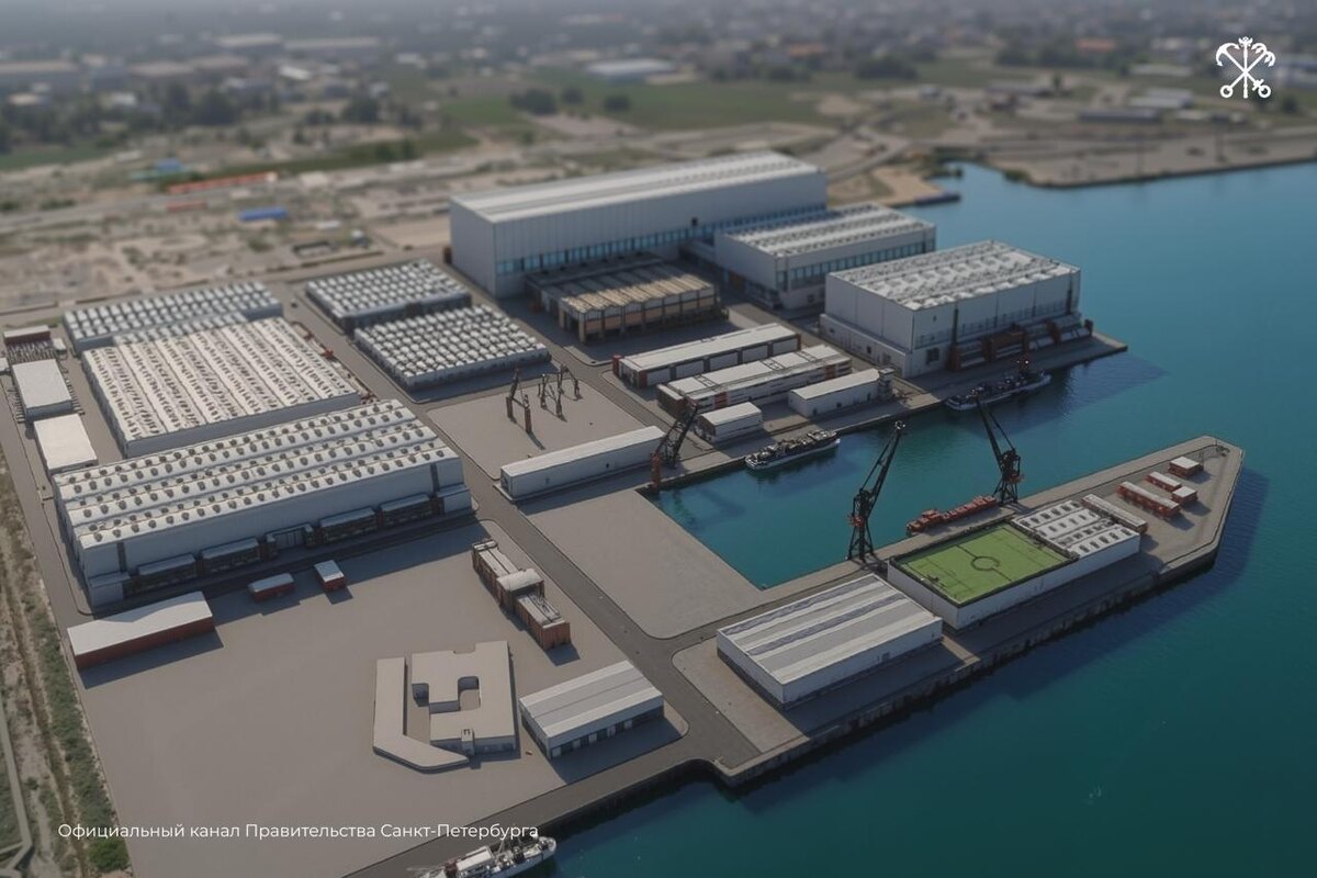    Фото: t.me/spbprav