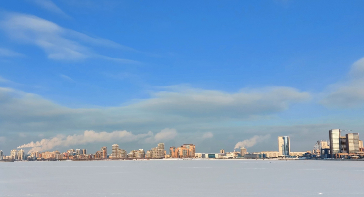 Правый берег Казанки. 2026. Фото. Изящный гиппопотам.         