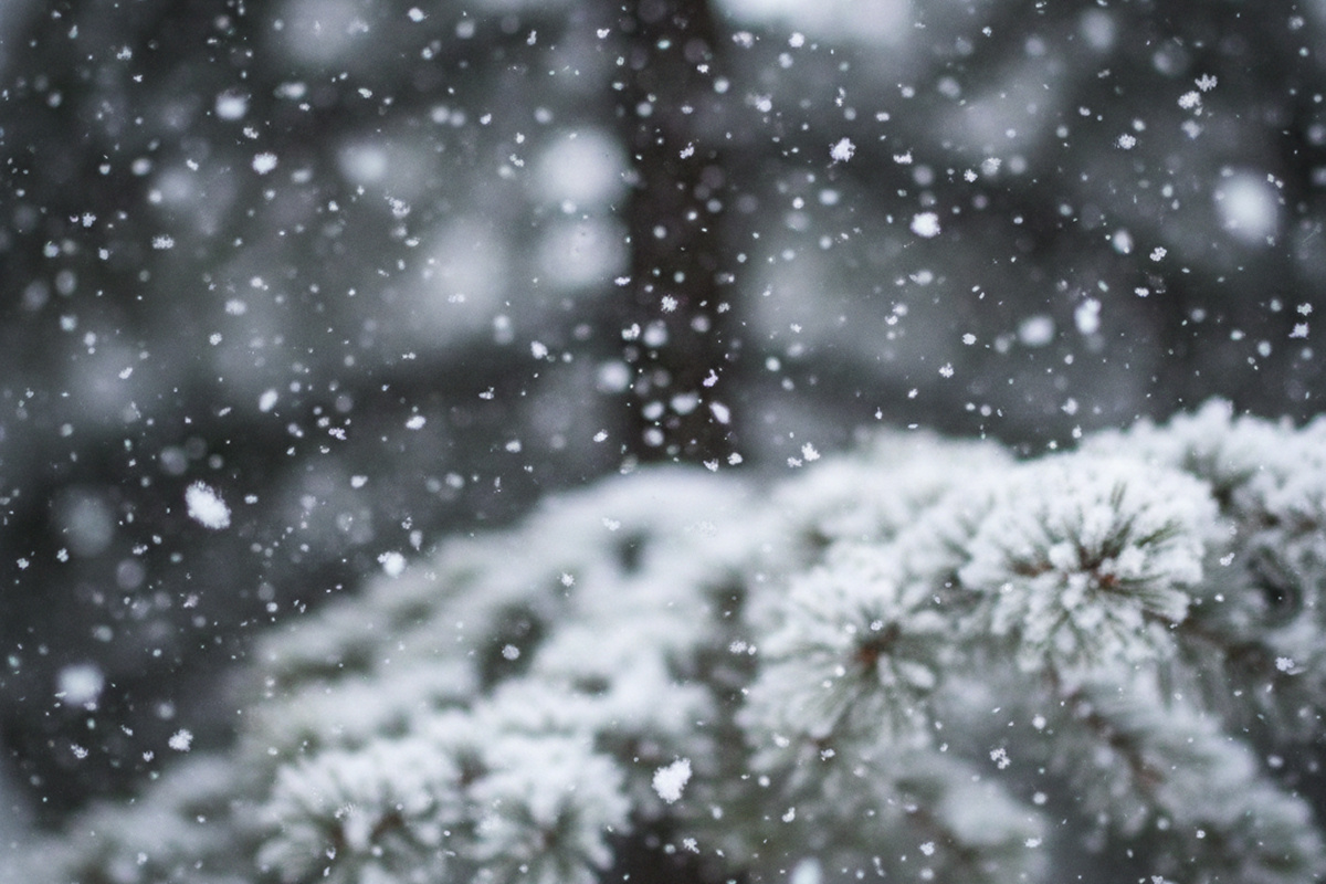    Фото: коллаж RuNews24.ru