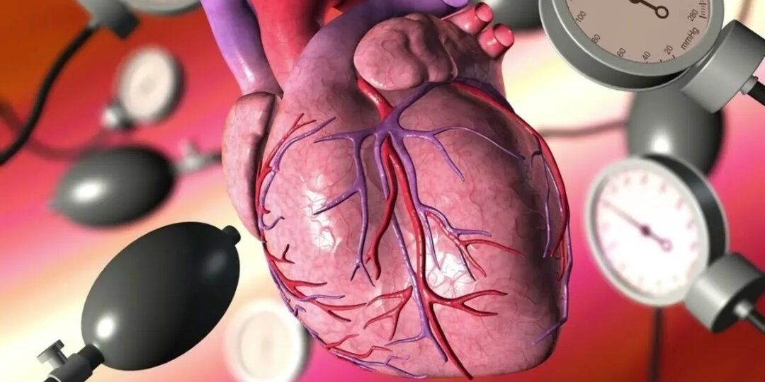 Что на самом деле повышает давление? Разбираем гипертонию по косточкам