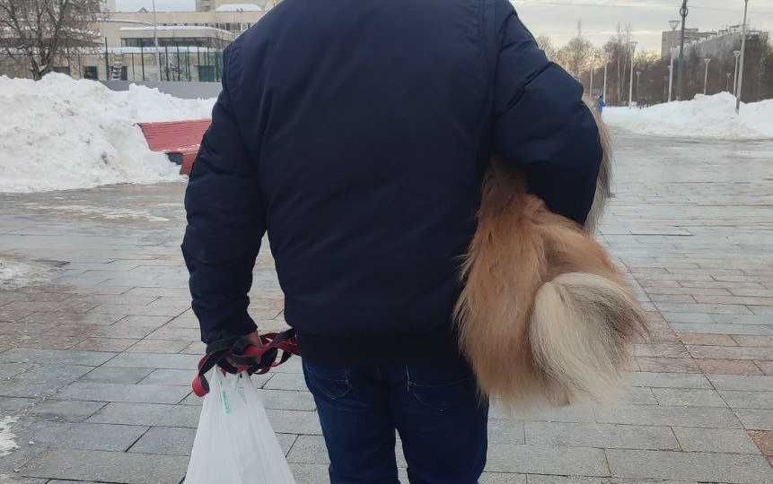 🔸Когда настроение "возьмите меня на ручки" взгляд и мозг ловит такие картинки вокруг и сразу вспомнилось стихотворение