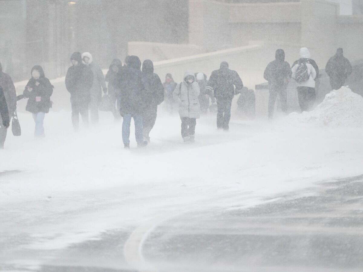    Снегопад в Москве | © РИА Новости / Михаил Воскресенский