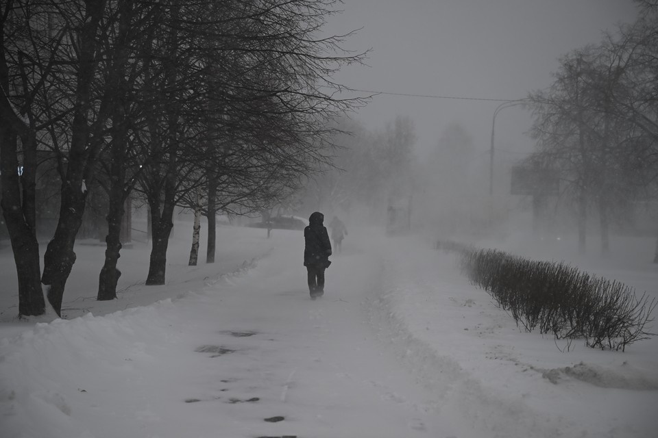    Снег, метель и сильный ветер прогнозируются в Москве 22 февраля Иван МАКЕЕВ