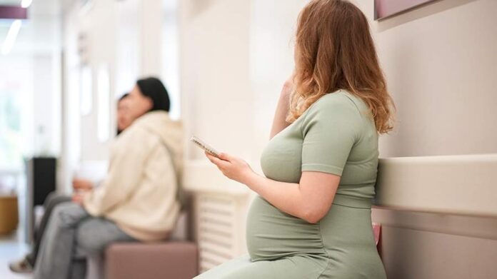    Цифровая плацента: Как государственный регистр беременностей стал инструментом биополитики 2030-х. novostix