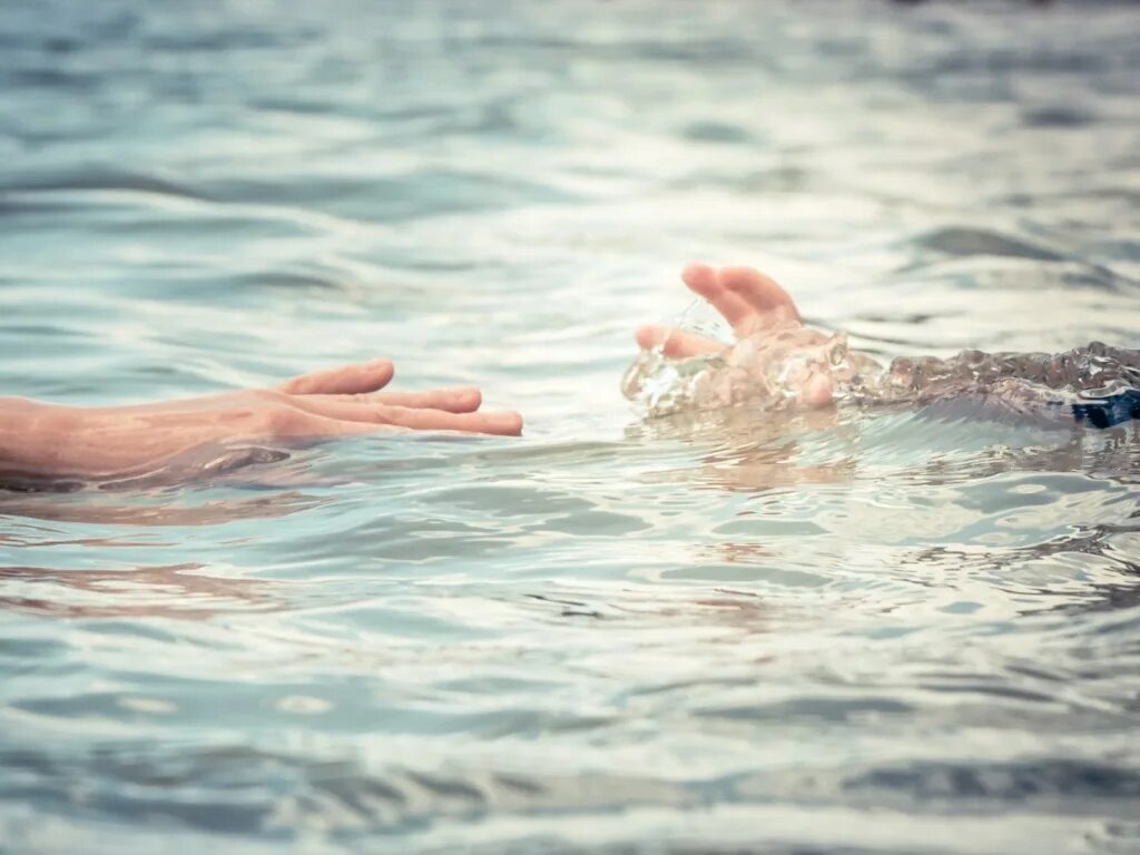 Фото взято из открытого доступв