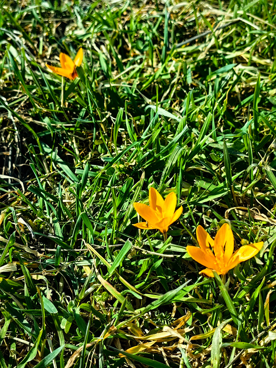 Фото автора канала