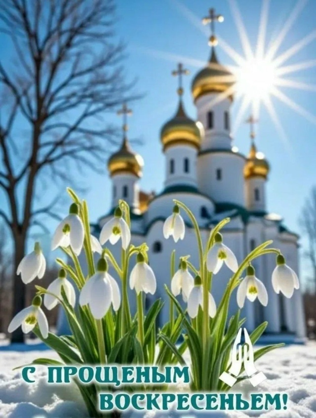 Картинка из мессенджера