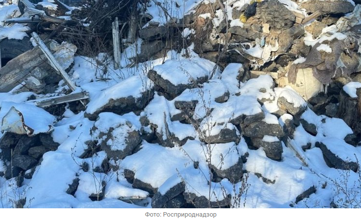 Источник новости: https://nia.eco/2026/02/18/111684/