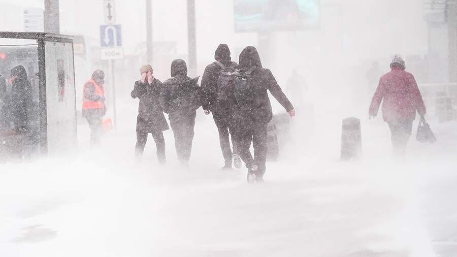    Фото: ИЗВЕСТИЯ/Павел Волков