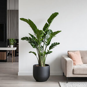 /  ФОТО сгенерировано ИИ Администратор  📷
