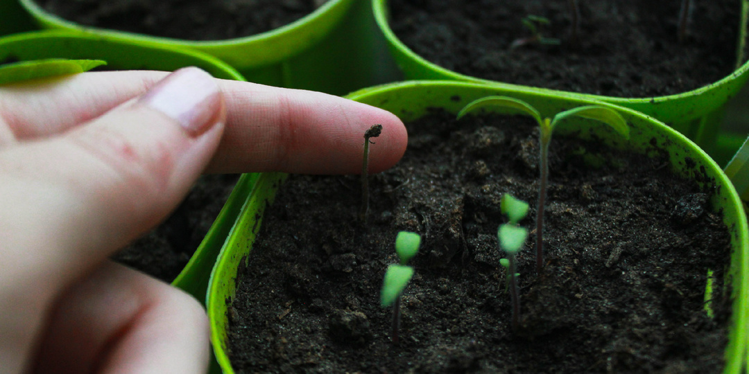 У вас тоже есть такое состояние?