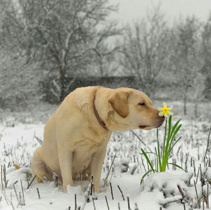 источник фото: https://i.pinimg.com/736x/7f/5e/43/7f5e433f0a3cdfc73a9acf1eb430580b.jpg