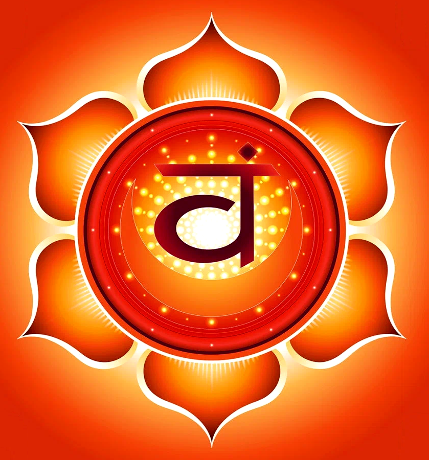 Шести-лепестковый лотос - Свадхистана. Изображения взяты из открытых источников.