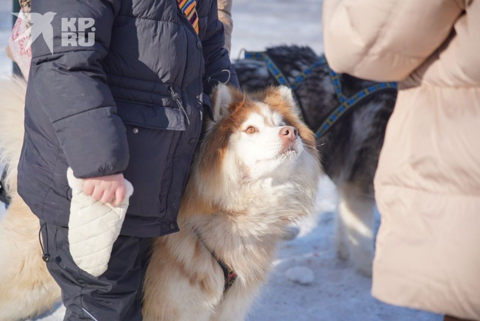   ИВАНОВА Диана