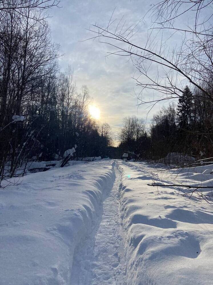   Елена Полякова