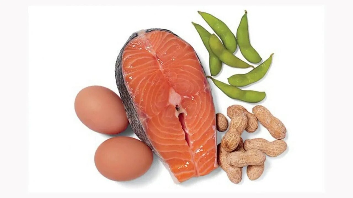 Сравнение качества белка фасоли, грибов и мяса