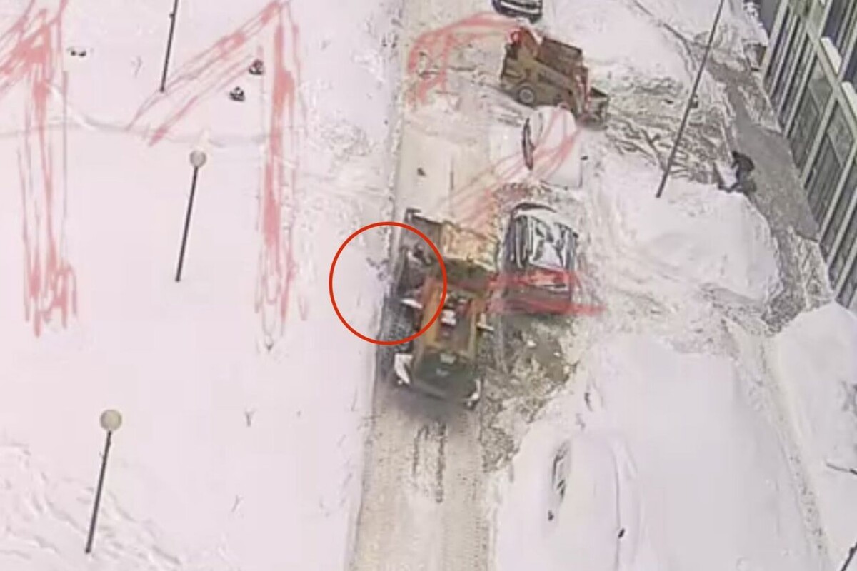     / Источник: © Кадр из видео