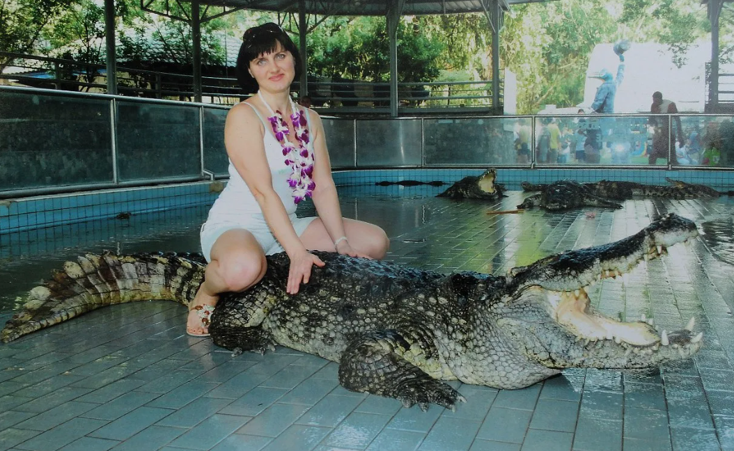 фото из открытых источников