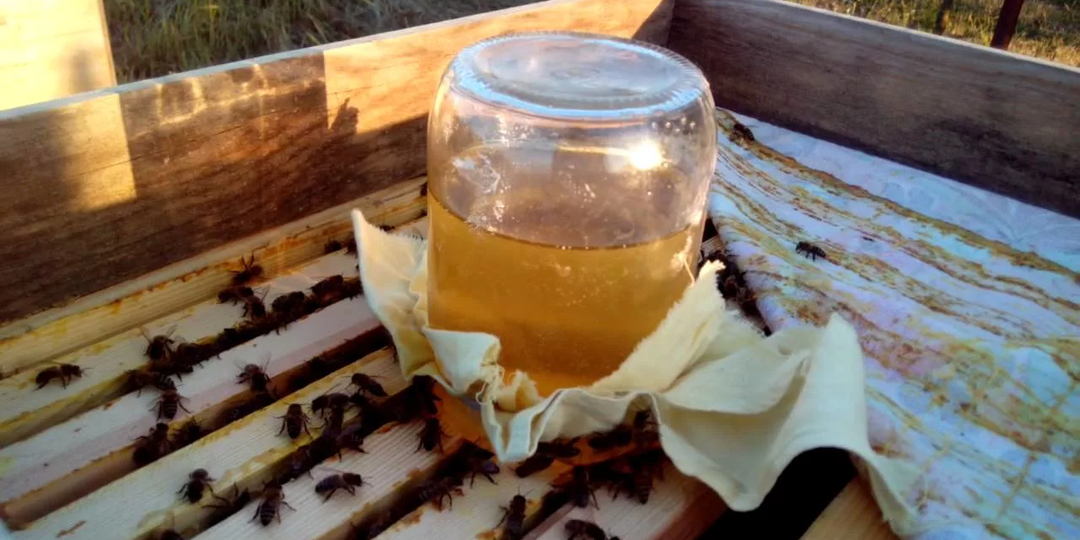 О ПОДКОРМКЕ ПЧЕЛ