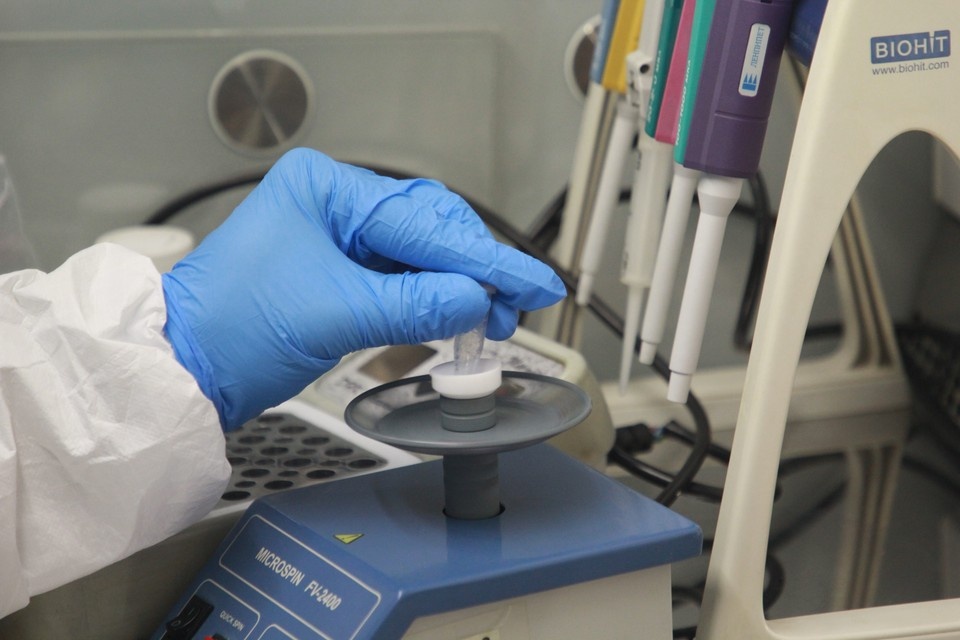    В Краснодаре откроют пункт тестирования Юлия ПЫХАЛОВА