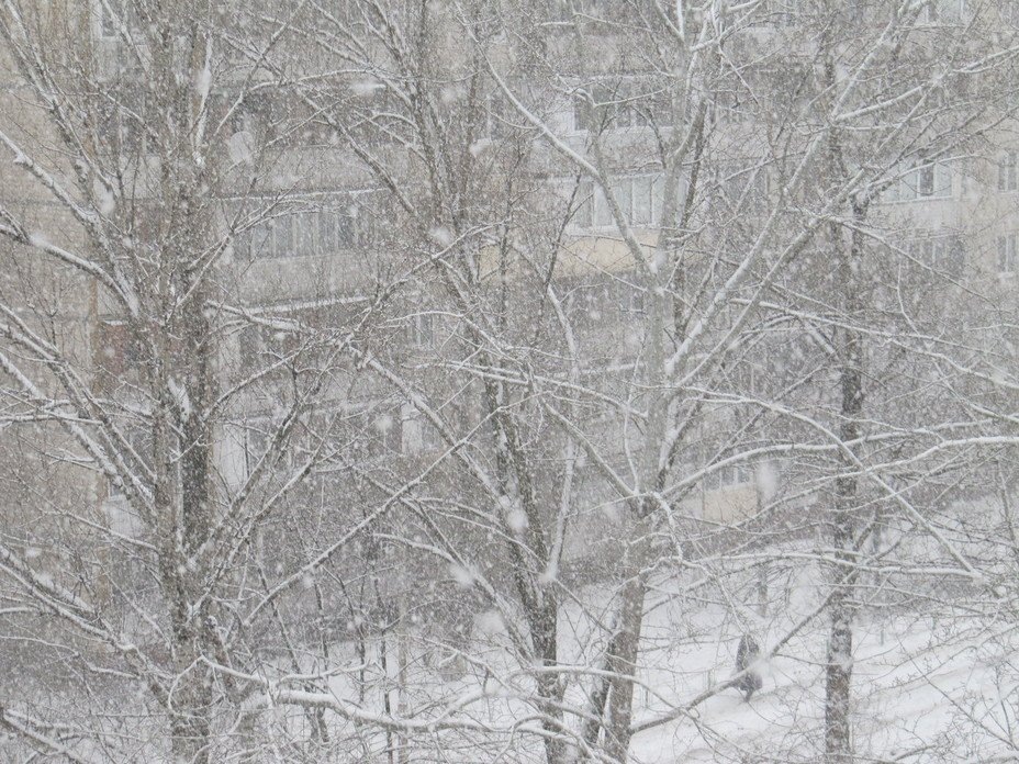Опять метель... и мается былое в темноте...