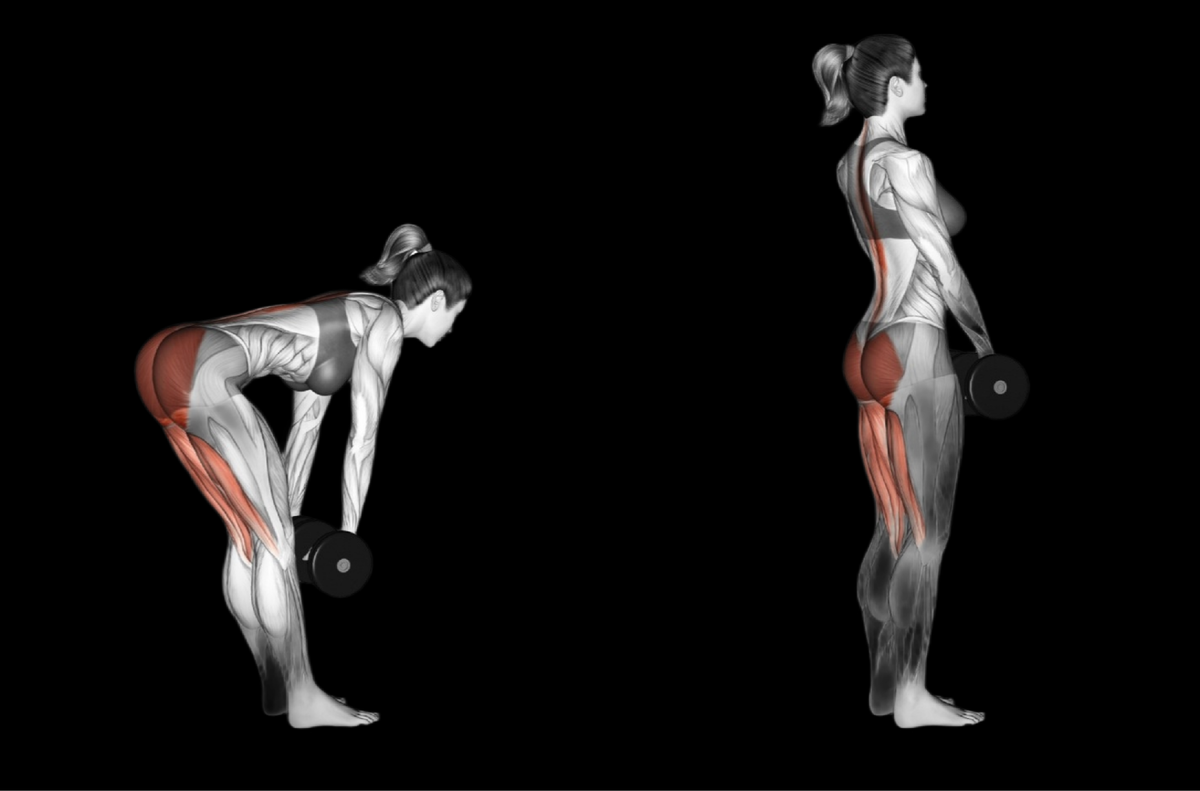 Румынская тяга с гантелями. 