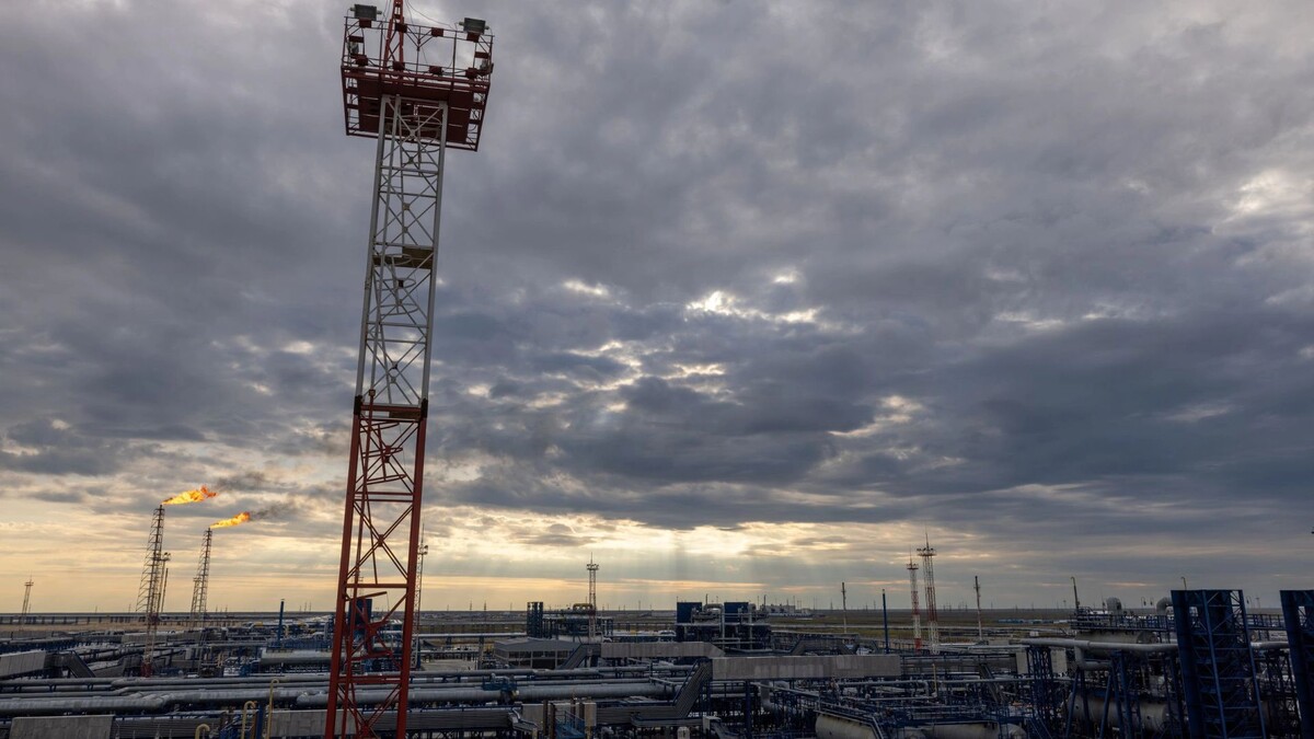    Фото: Сергей Зубков/«Ямал-Медиа»