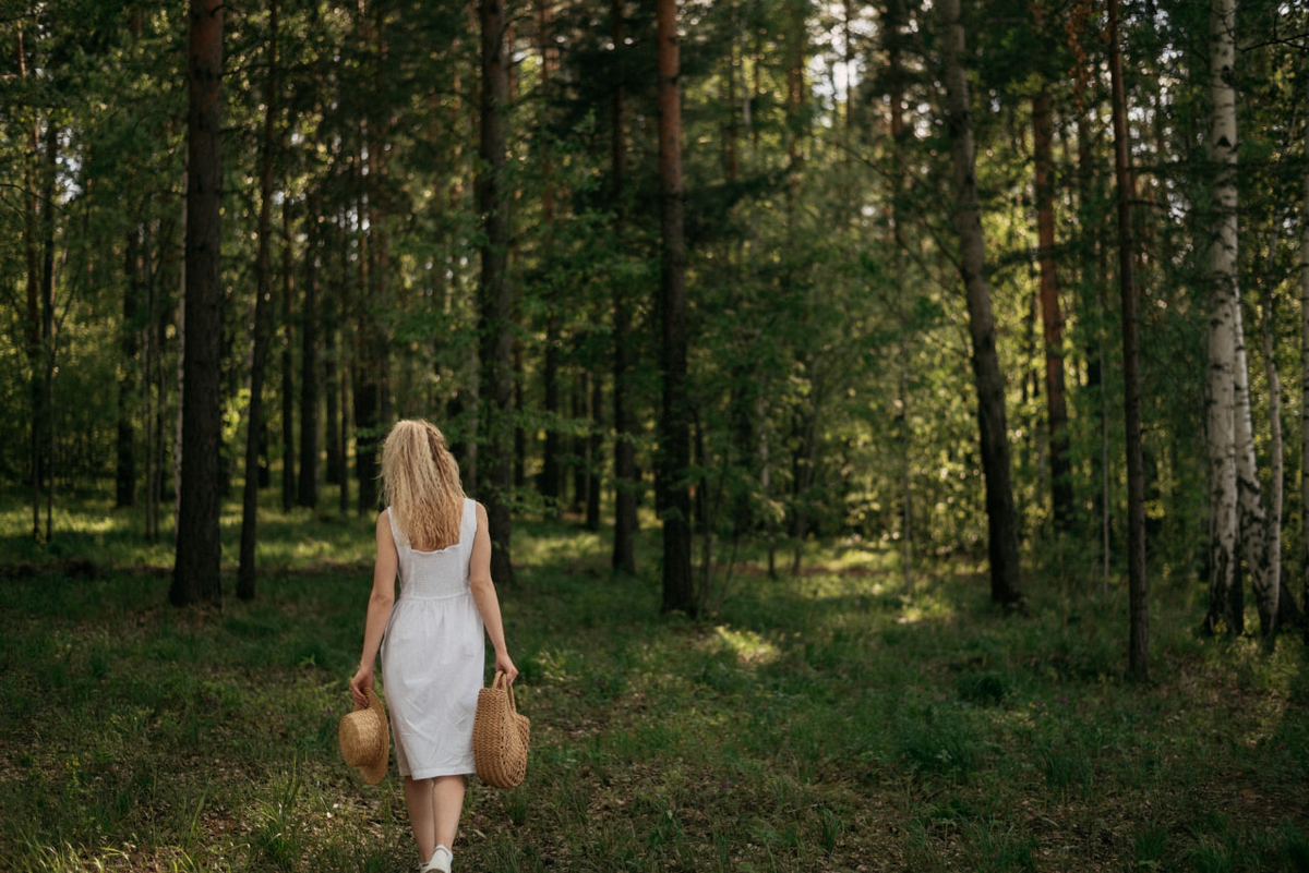 прекрасный собственный парк в центре ЖК СОВУШКИ - Шишкин ЛЕС 