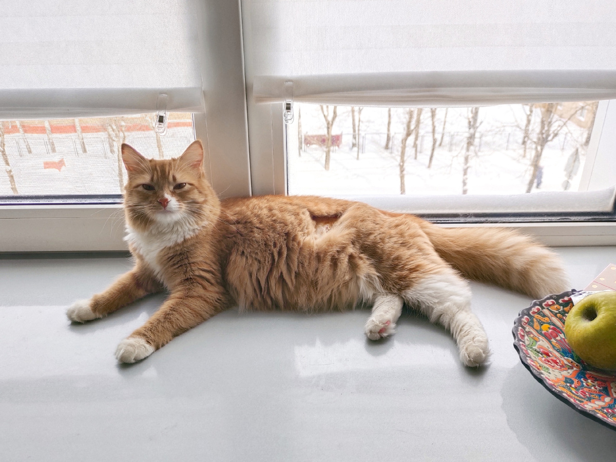 И эти люди не дают мне разлизывать шов!