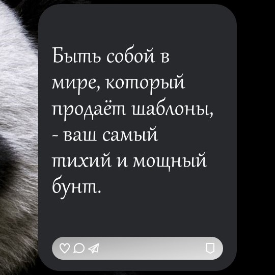 "Внутренний голос"