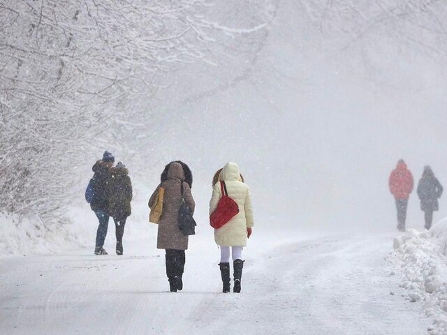    Фото: портал мэра и правительства Москвы/Максим Денисов