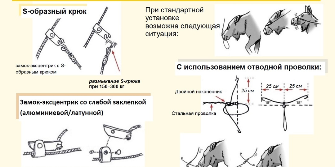 Охота с петлями: главные правила 2026