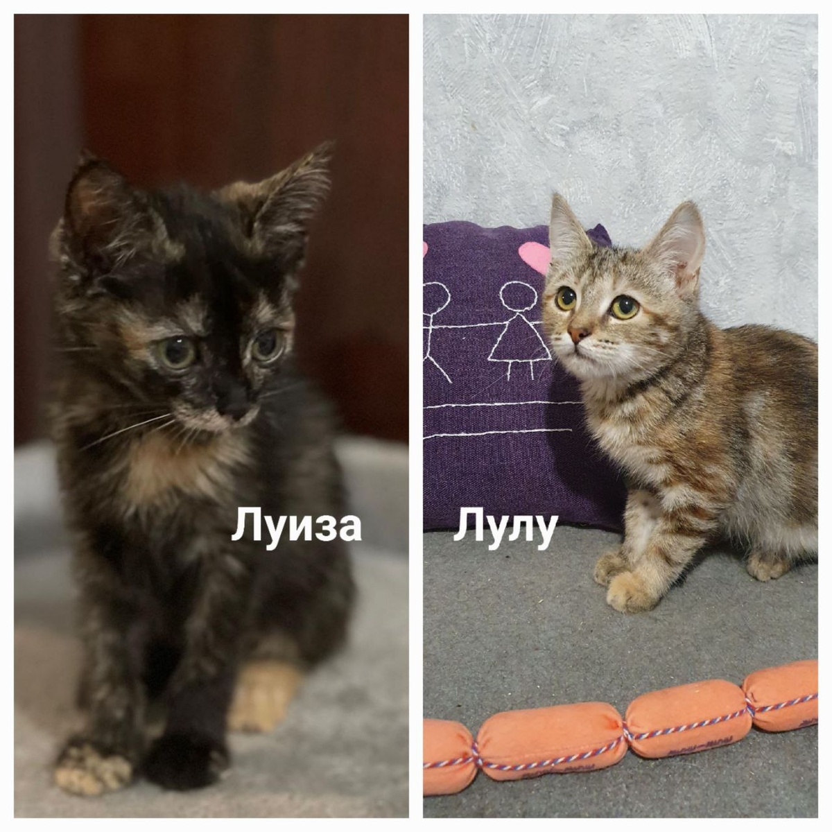 Две сестрички