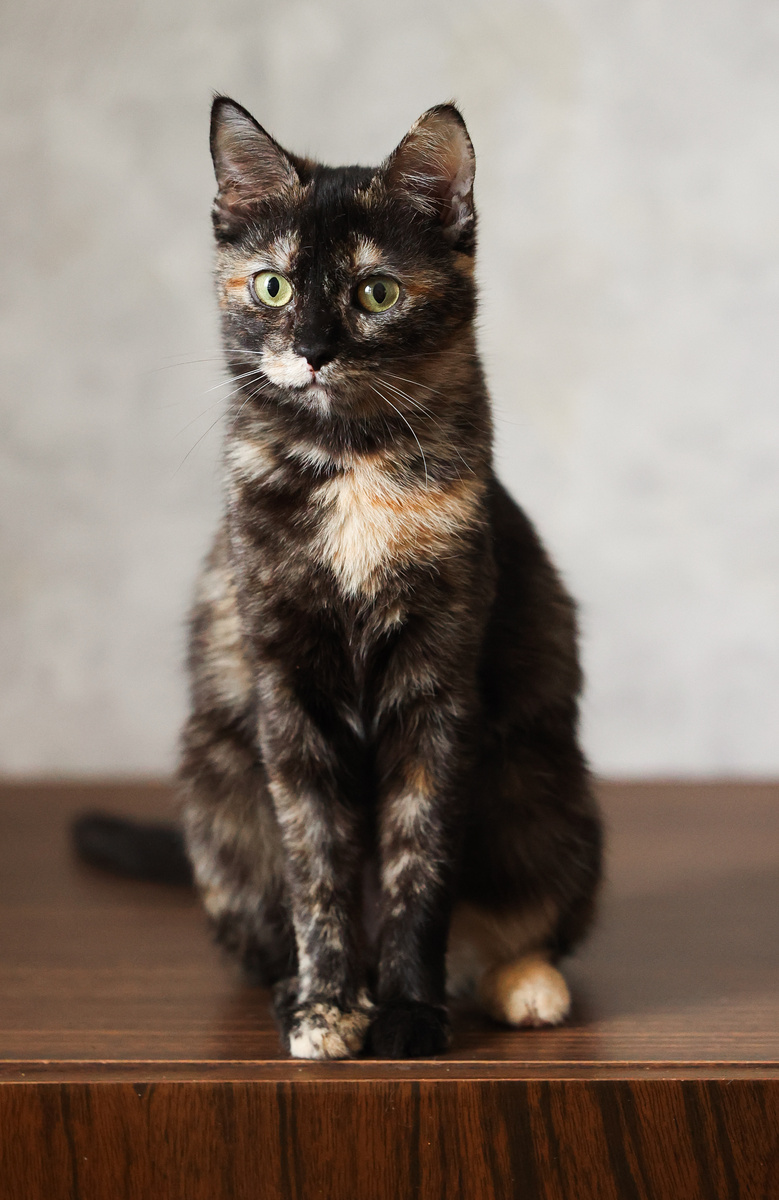 Могу спокойно сидеть, минут 10