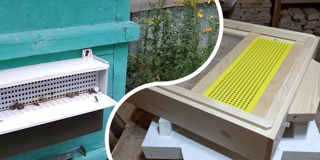 Какой пыльцесборник лучше - донный или навесной? Рассказываю про важные моменты постановки пыльцесборников.