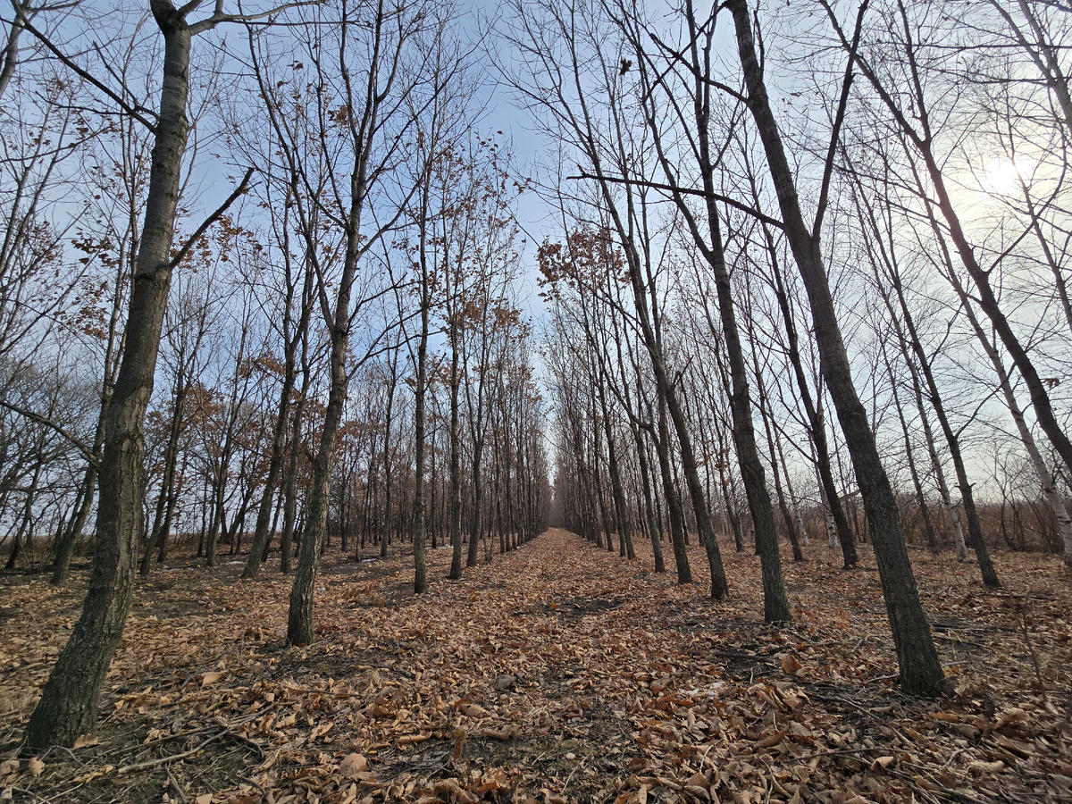 Было очень тепло