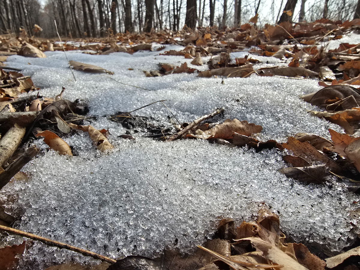 Подснежников не хватает для антуража:)