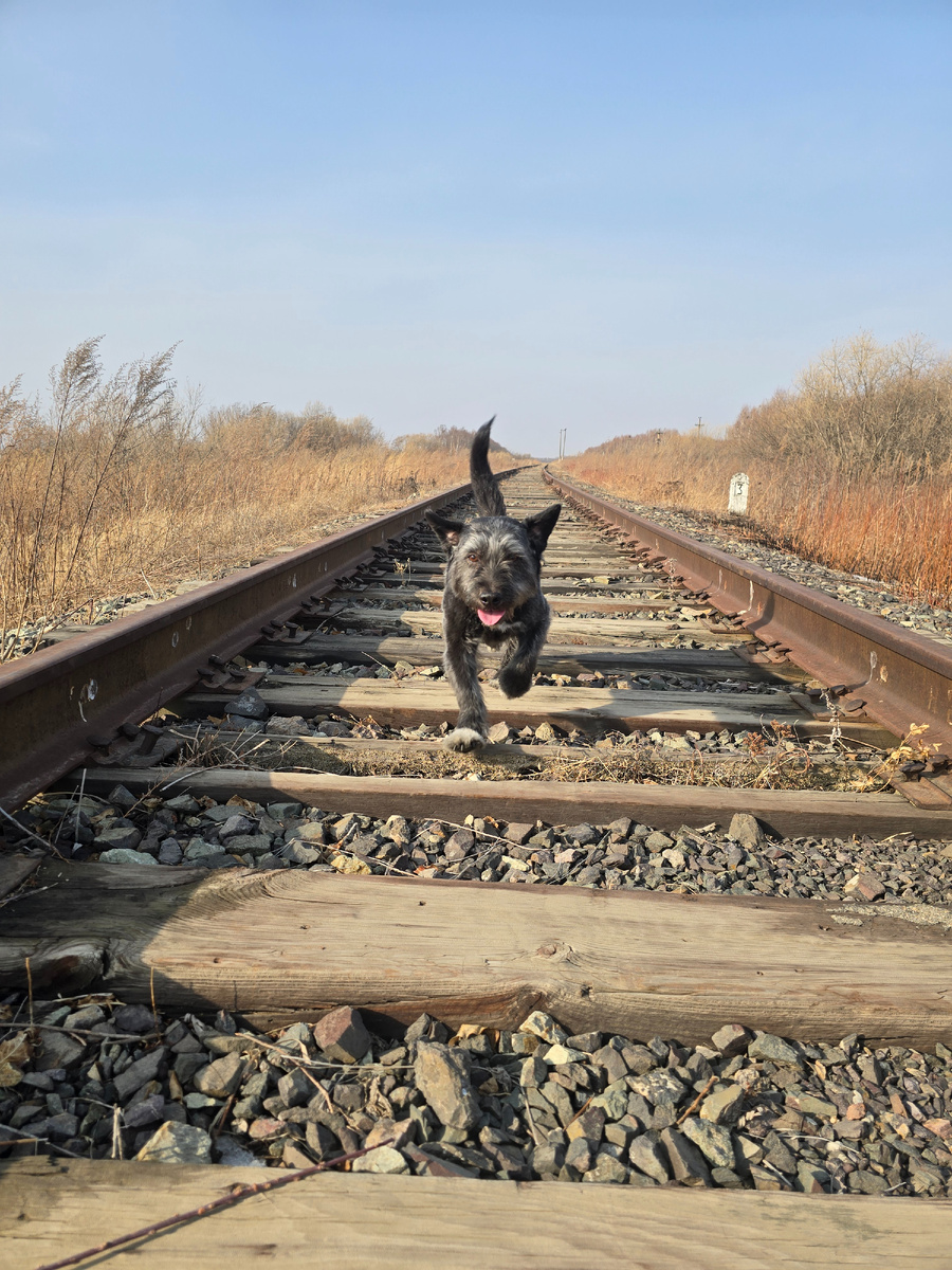 Вот кому хорошо, уши развесил и вперед:)
