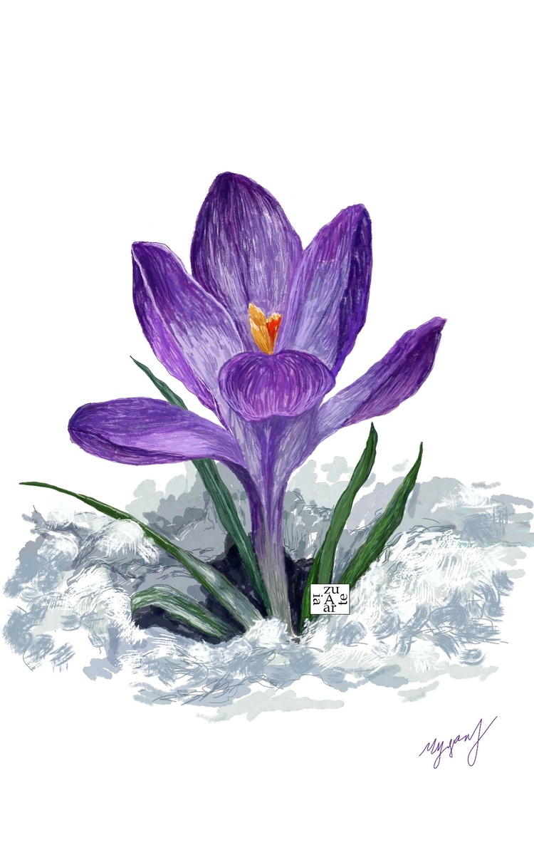 Альбом Рисование на планшете. 02