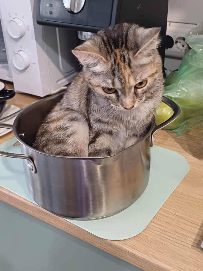 фото из открытых источников интернет