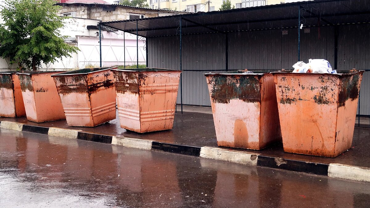    Фото: Сергей Егоров