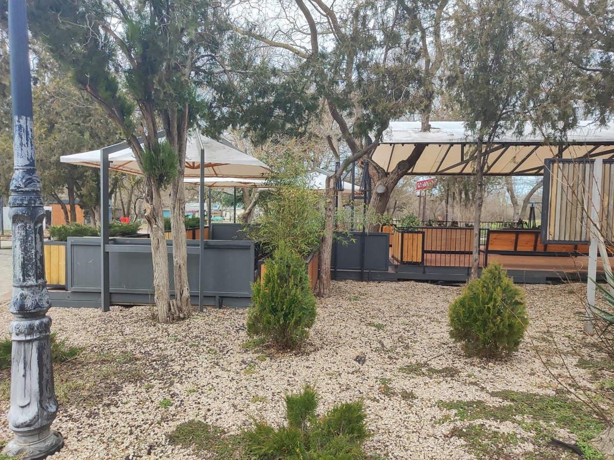 в парке у моря