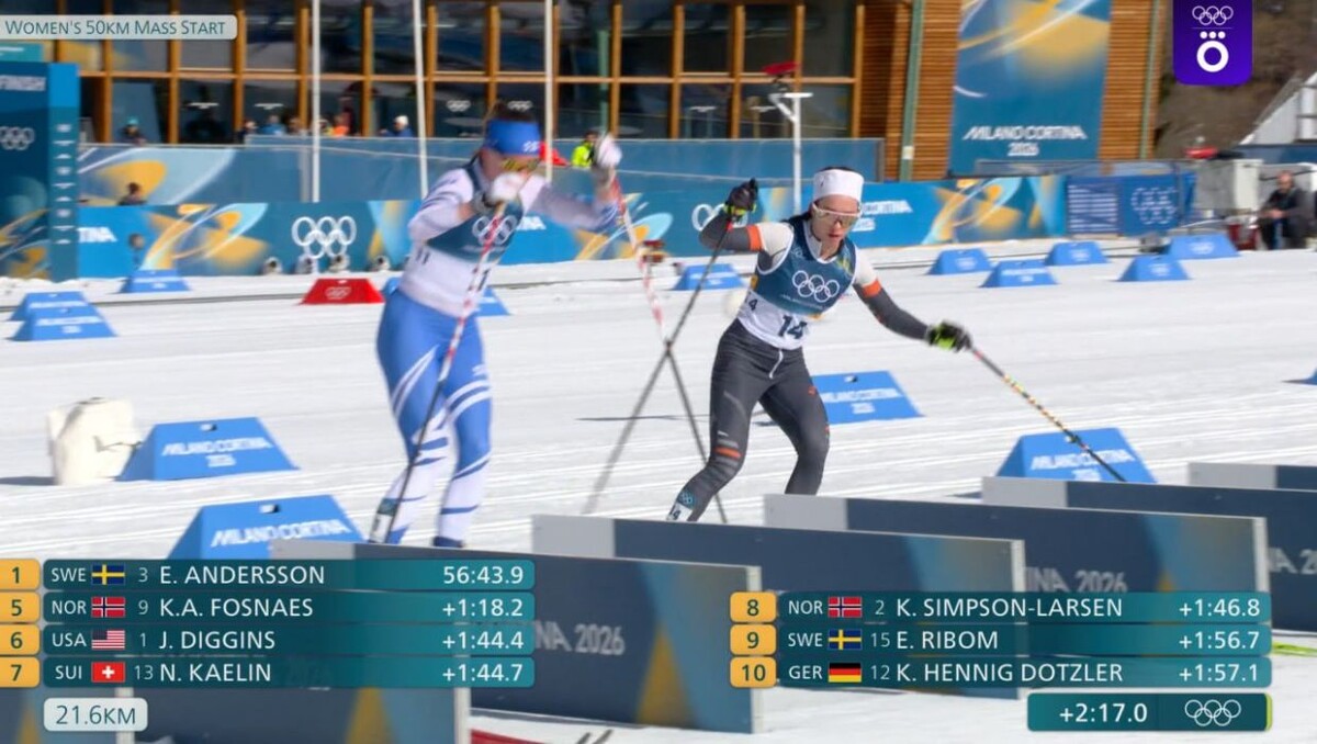 фото: яндекс. 