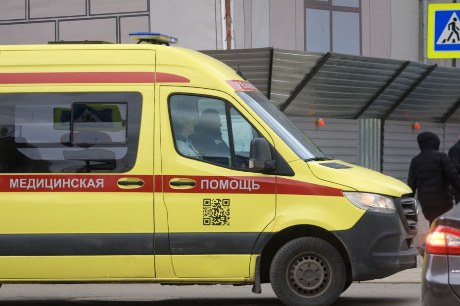    Наталья Шатохина/NEWS.ru