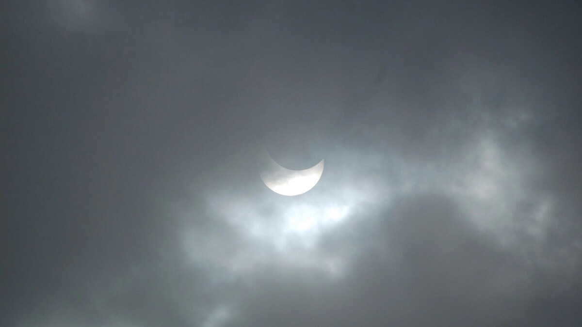    Луна Червя взойдет над Ростовом. Когда смотреть в небо?   1MI