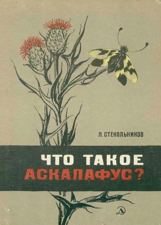 Обложка, фото из Сети