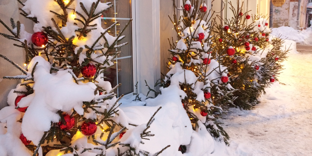 Серпухов и Таруса зимой: самые красивые места