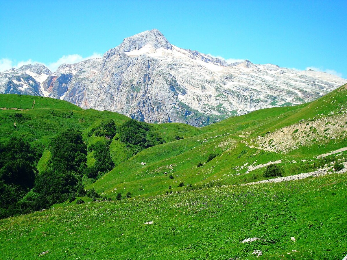 Гора Фишт, Кавказский государственный природный биосферный заповедник. Автор: Сергей Казанцев. Лицензия: CC BY-SA 4.0.