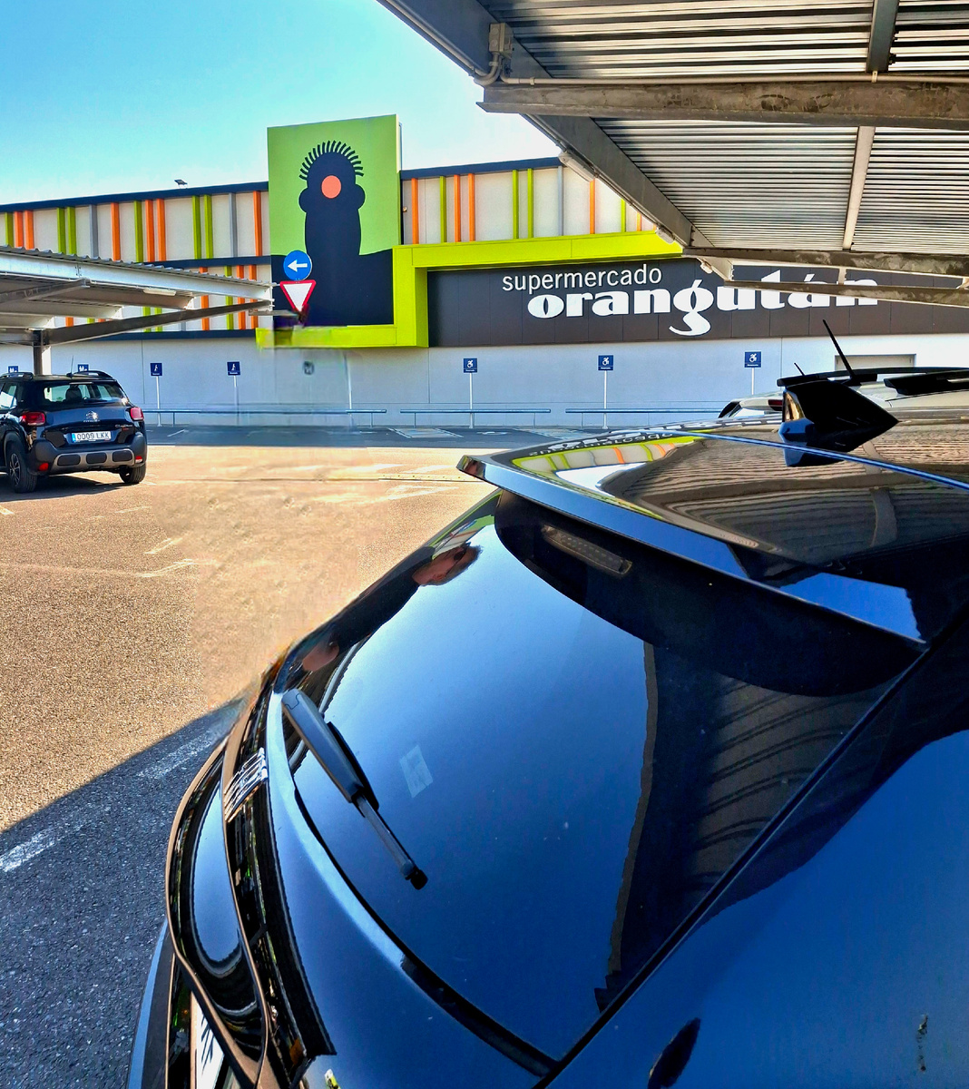 Орангутан. Еда, напитки, косметика и одежда внутри.